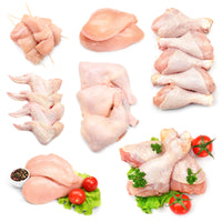 fresh chicken meat